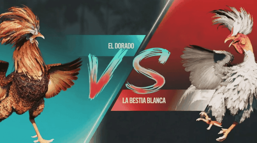yy77 Jogos Populares e Cassino Online